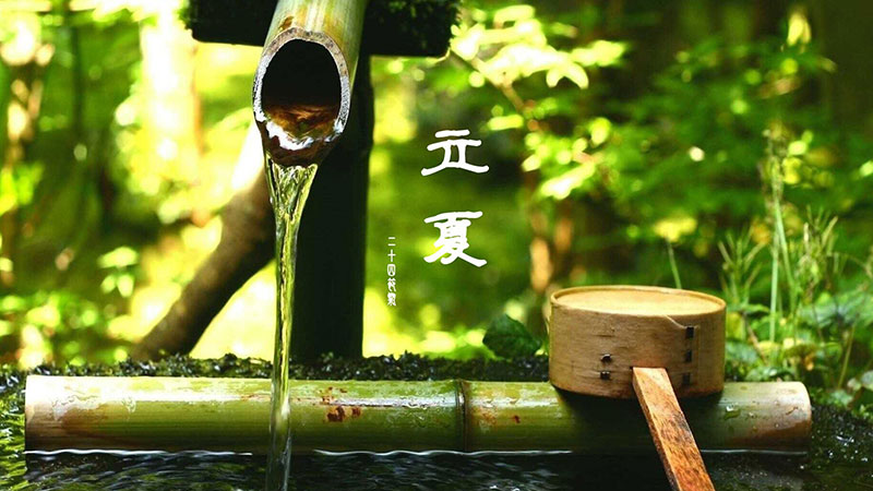 立夏|春意藏，夏初長