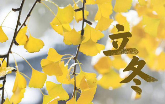 立冬?別了晚秋，遇見初冬 